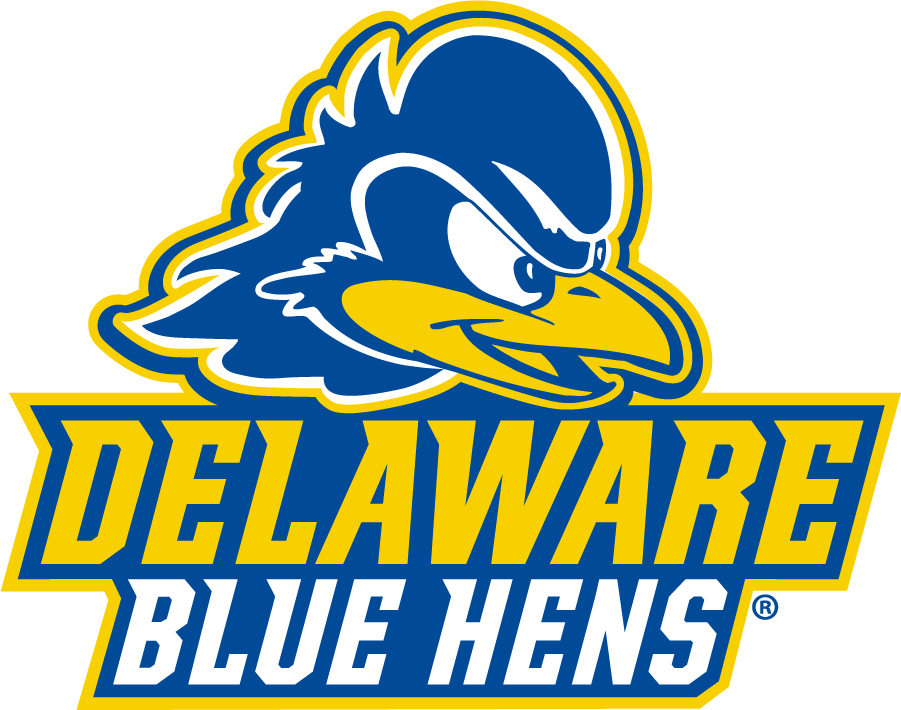 Delaware Blue Hens 2018-Pres Secondary Logo DIY iron on transfer (heat transfer)
